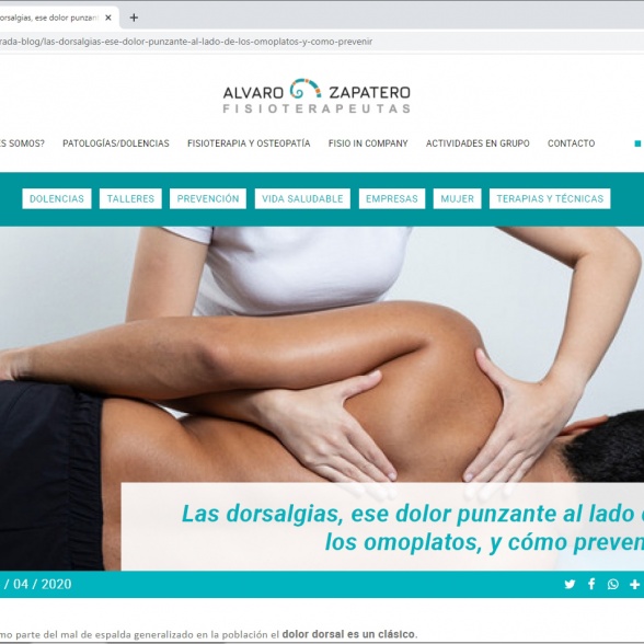 Redacción entradas en Blog sobre terapias. Álvaro Zapatero Fisioterapeutas.
