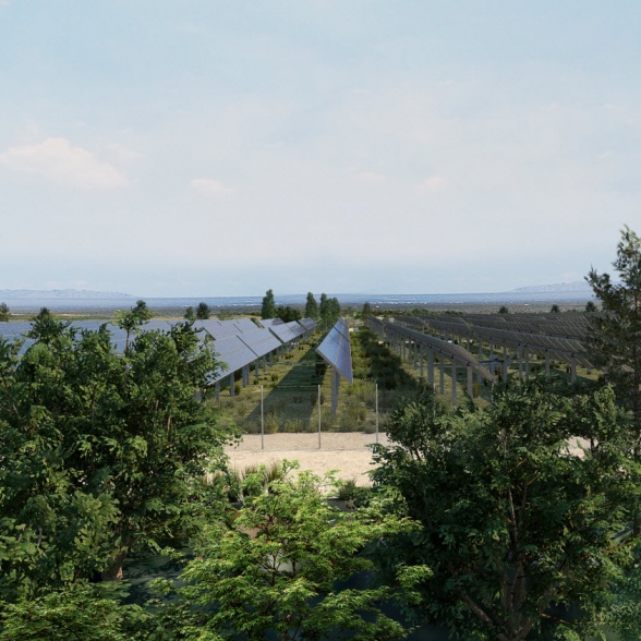 Detalle proyecto planta solar energía renovable