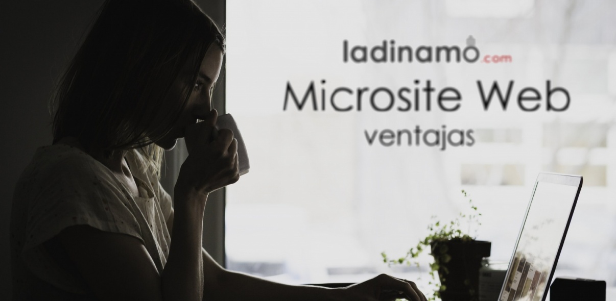 Las ventajas de un Microsite