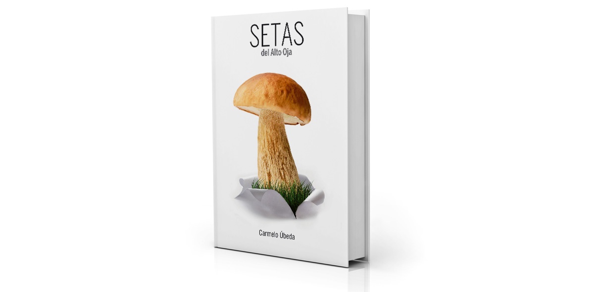 Portada libro setas